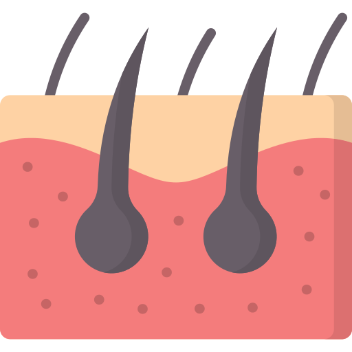Icone technique implant